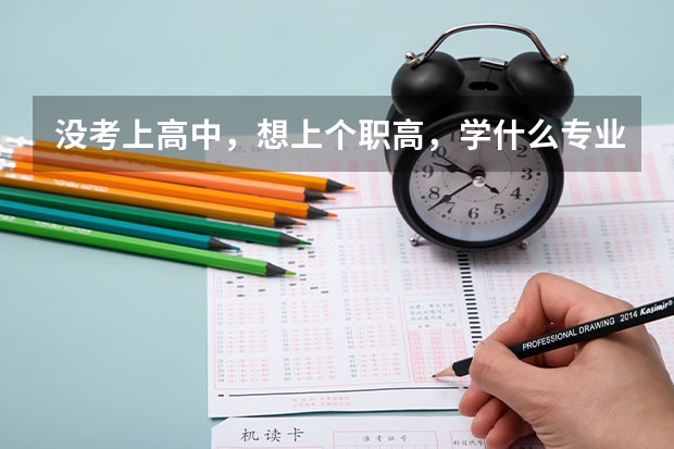 没考上高中，想上个职高，学什么专业好啊？