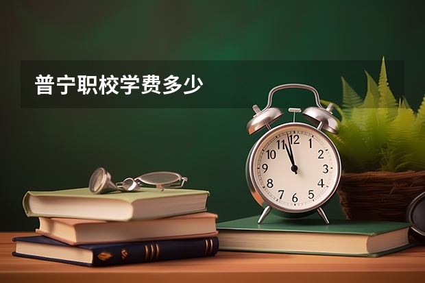 普宁职校学费多少