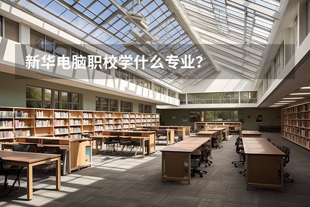 新华电脑职校学什么专业？