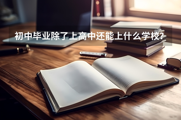 初中毕业除了上高中还能上什么学校？