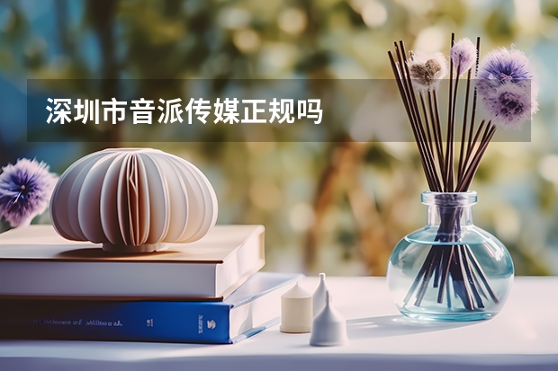 深圳市音派传媒正规吗