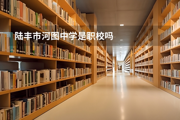 陆丰市河图中学是职校吗