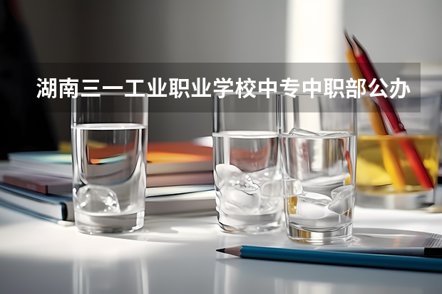 湖南三一工业职业学校中专中职部公办还是民办师资怎么样