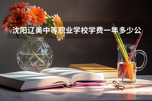 沈阳辽美中等职业学校学费一年多少公办还是民办