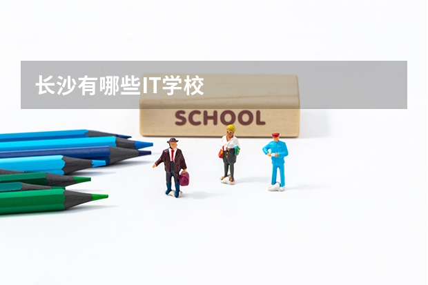 长沙有哪些IT学校