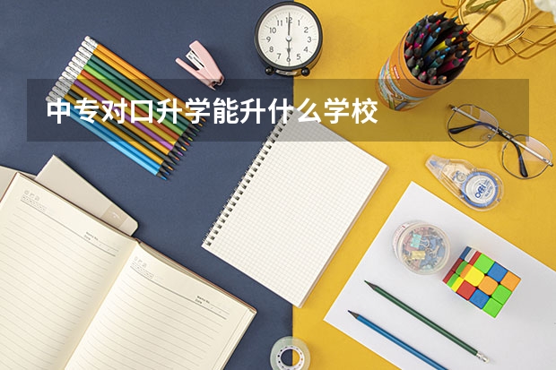 中专对口升学能升什么学校