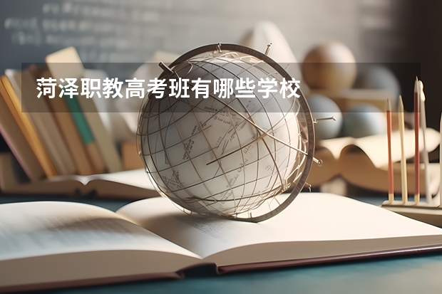 菏泽职教高考班有哪些学校