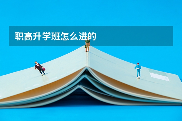 职高升学班怎么进的
