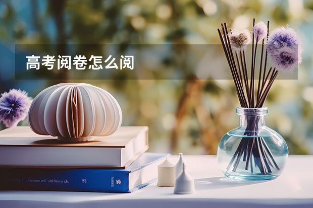 高考阅卷怎么阅