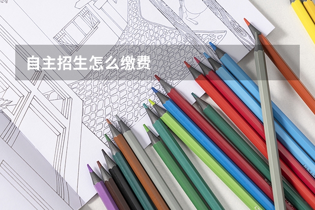 自主招生怎么缴费