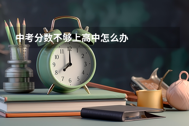 中考分数不够上高中怎么办