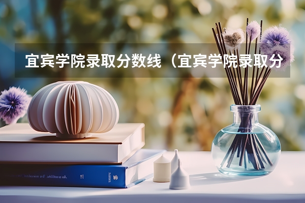 宜宾学院录取分数线（宜宾学院录取分数线2023）