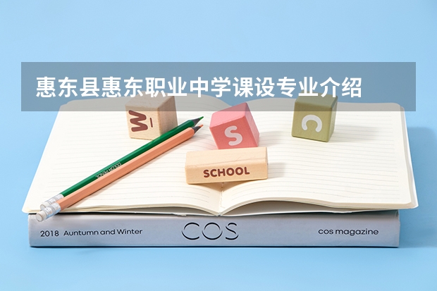 惠东县惠东职业中学课设专业介绍