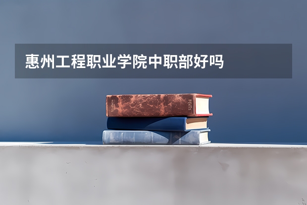 惠州工程职业学院中职部好吗