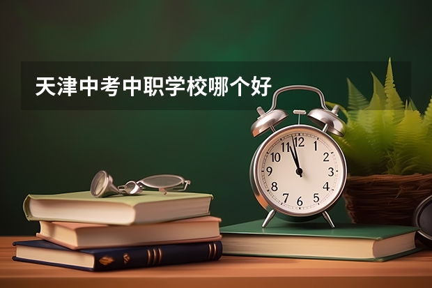 天津中考中职学校哪个好