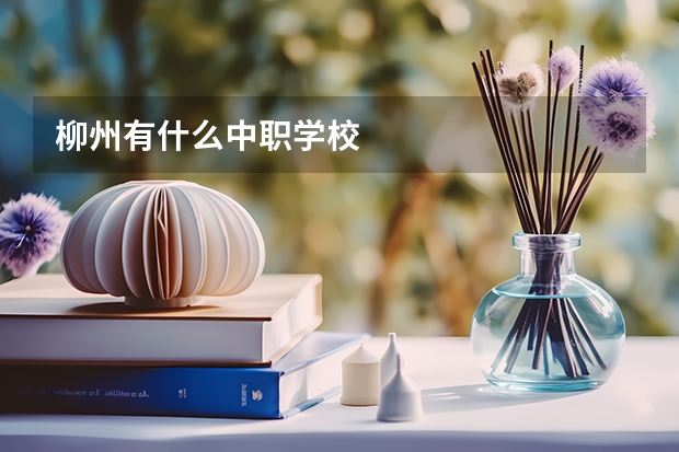 柳州有什么中职学校