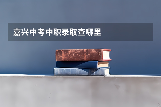 嘉兴中考中职录取查哪里