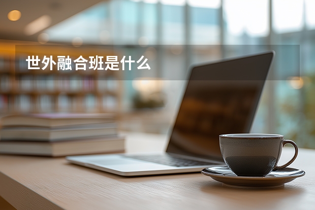 世外融合班是什么
