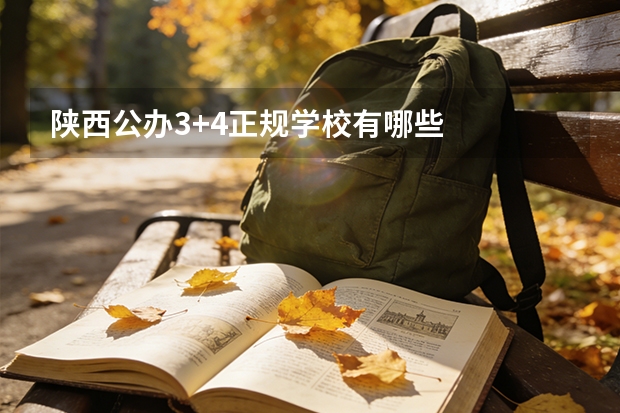 陕西公办3+4正规学校有哪些