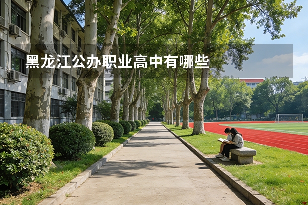 黑龙江公办职业高中有哪些