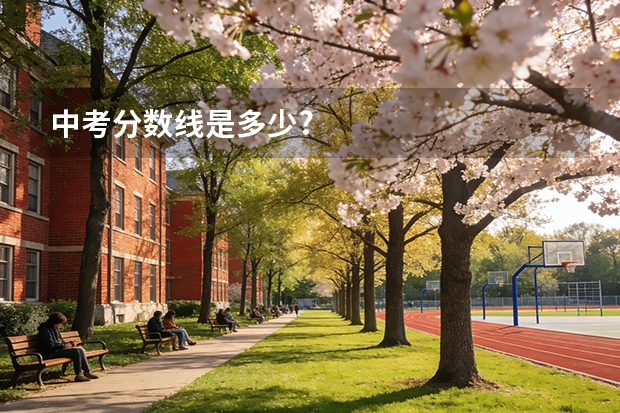 中考分数线是多少?
