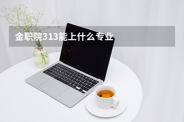 金职院313能上什么专业