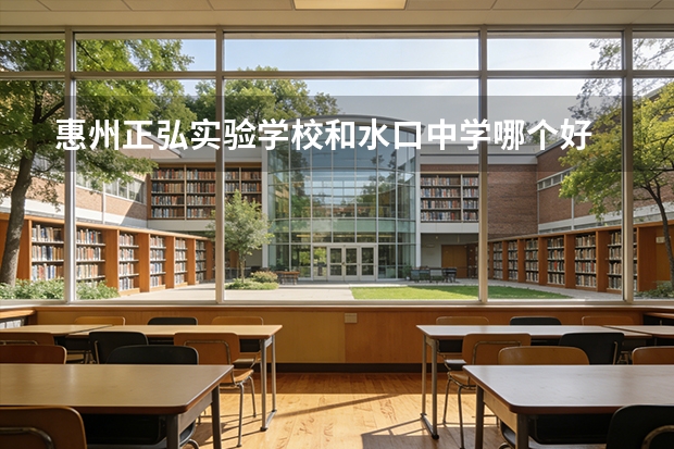 惠州正弘实验学校和水口中学哪个好