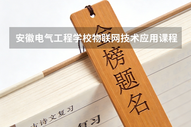 安徽电气工程学校物联网技术应用课程设置与专业能力要求