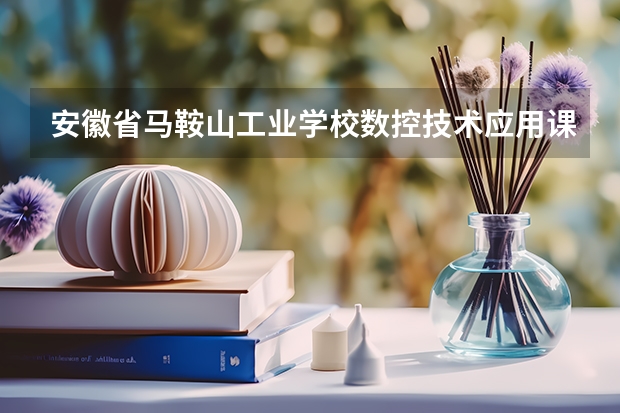 安徽省马鞍山工业学校数控技术应用课程设置与专业能力要求
