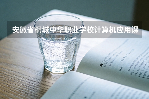 安徽省桐城中华职业学校计算机应用课程设置与专业能力要求