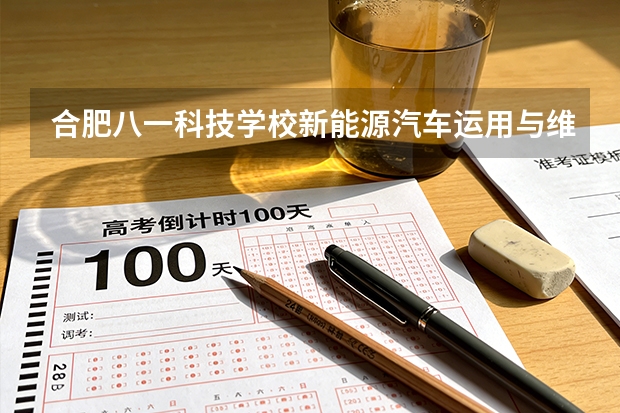 合肥八一科技学校新能源汽车运用与维修课程设置与专业能力要求