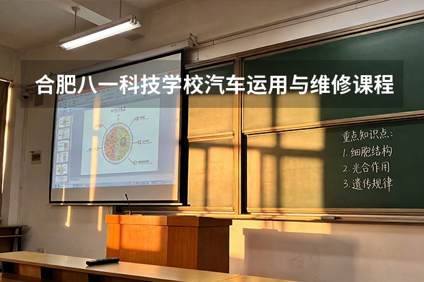 合肥八一科技学校汽车运用与维修课程设置与专业能力要求
