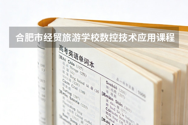 合肥市经贸旅游学校数控技术应用课程设置与专业能力要求