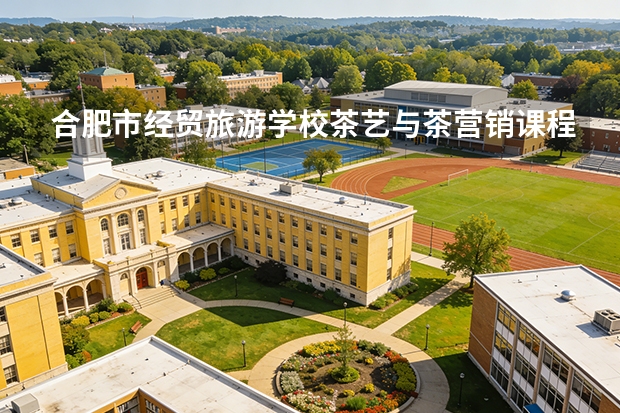 合肥市经贸旅游学校茶艺与茶营销课程设置与专业能力要求