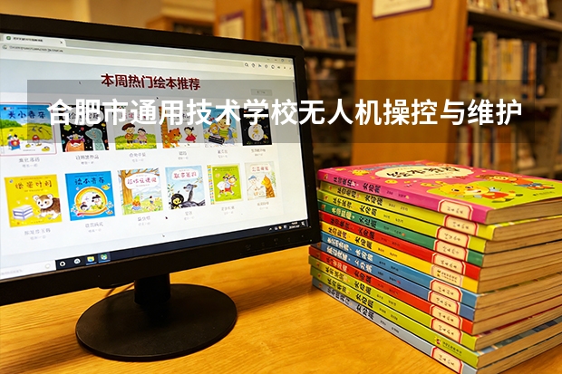 合肥市通用技术学校无人机操控与维护课程设置与专业能力要求