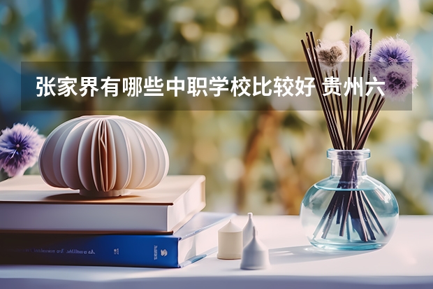 张家界有哪些中职学校比较好 贵州六盘水中职学校名录