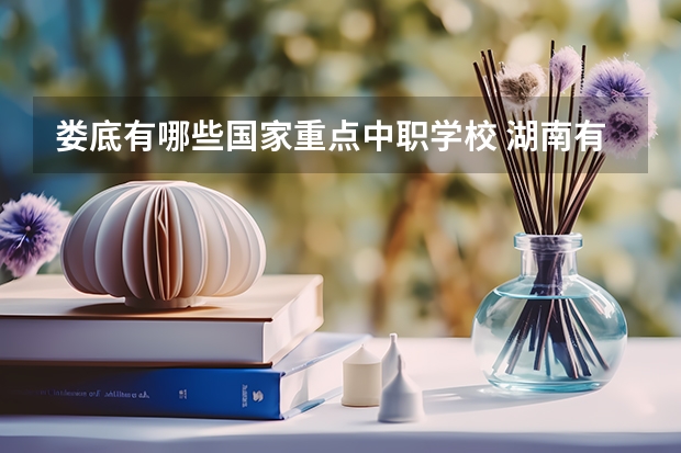 娄底有哪些国家重点中职学校 湖南有哪些艺术类的中职学校