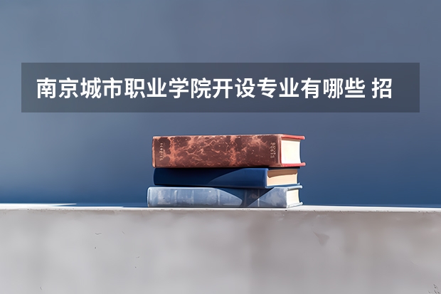 南京城市职业学院开设专业有哪些 招多少人