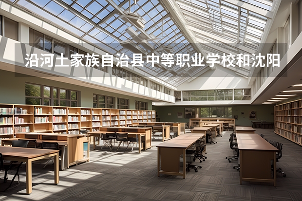 沿河土家族自治县中等职业学校和沈阳市信息工程学校哪个好