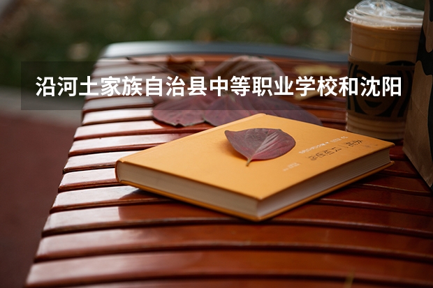 沿河土家族自治县中等职业学校和沈阳民族艺术学校哪个好