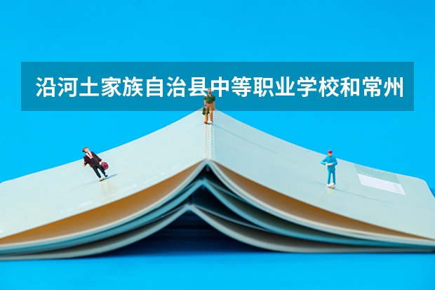 沿河土家族自治县中等职业学校和常州市中吴实验学校哪个好
