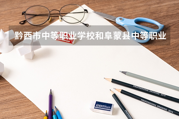 黔西市中等职业学校和阜蒙县中等职业技术专业学校哪个好