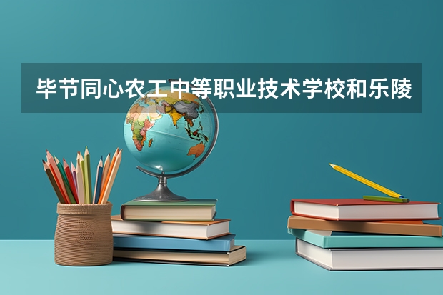 毕节同心农工中等职业技术学校和乐陵民生职业中等专业学校哪个好