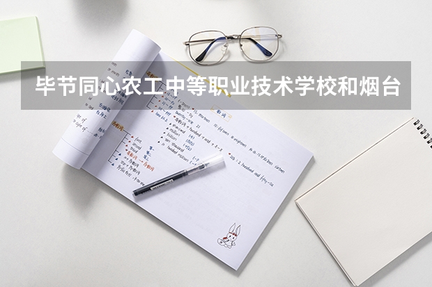 毕节同心农工中等职业技术学校和烟台经济学校哪个好