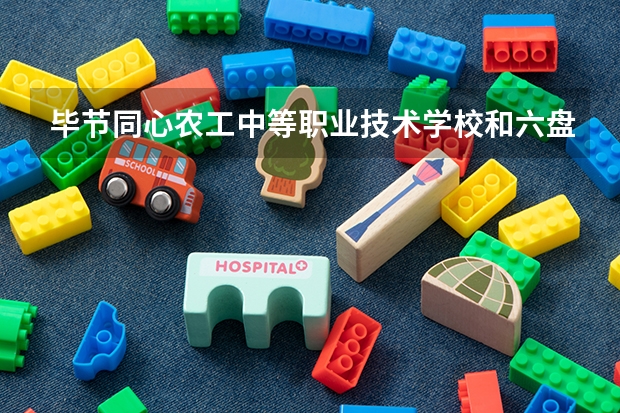毕节同心农工中等职业技术学校和六盘水市钟山区职业技术学校哪个好