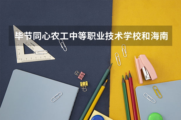 毕节同心农工中等职业技术学校和海南旅游经济贸易学校哪个好