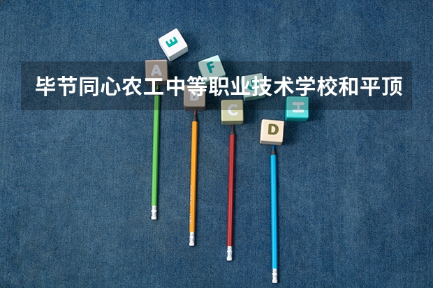 毕节同心农工中等职业技术学校和平顶山市体育运动学校哪个好