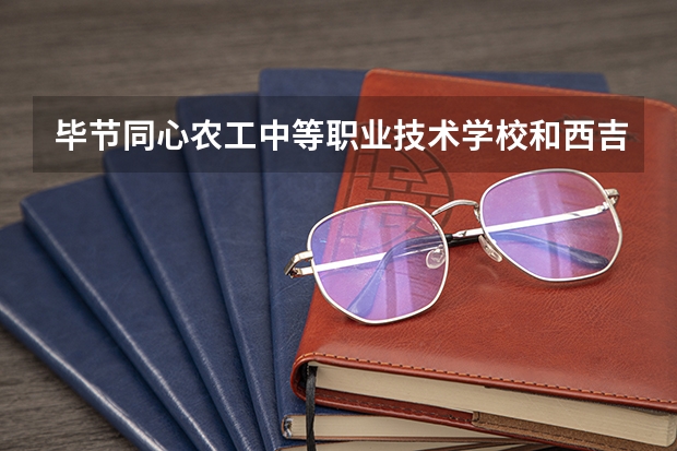 毕节同心农工中等职业技术学校和西吉县职业中学哪个好