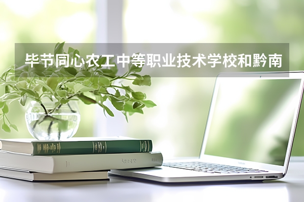 毕节同心农工中等职业技术学校和黔南民族幼儿师范高等专科学校（中职部）哪个好