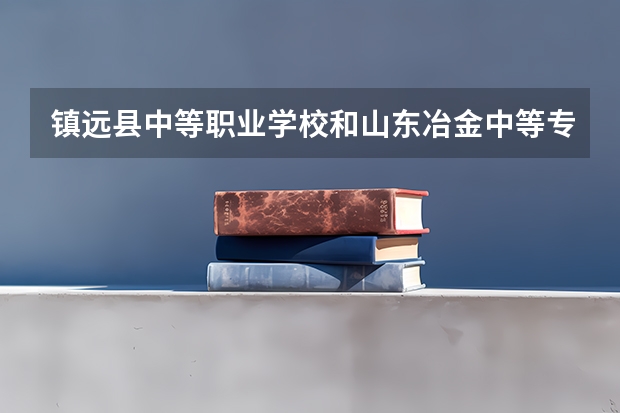 镇远县中等职业学校和山东冶金中等专业学校哪个好